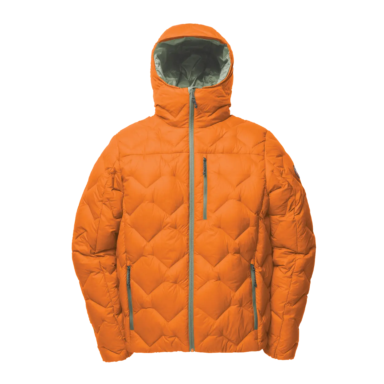 Shovelhead_Autum-Chinoia_Closed.png