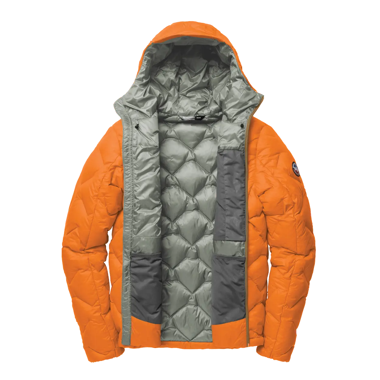 Shovelhead_Autum-Chinoia_Open.png